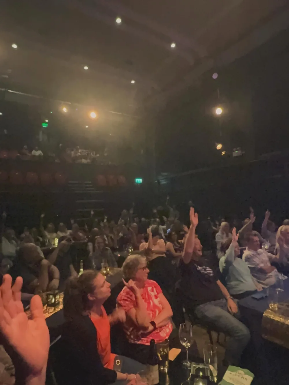 Audience enjoying live entertainment